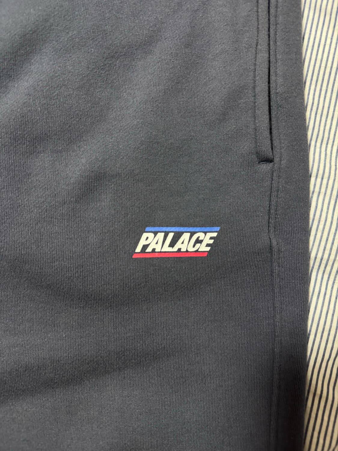 팔라스 24ss 베이지컬리 어 조거 네이비 S 상품이미지4