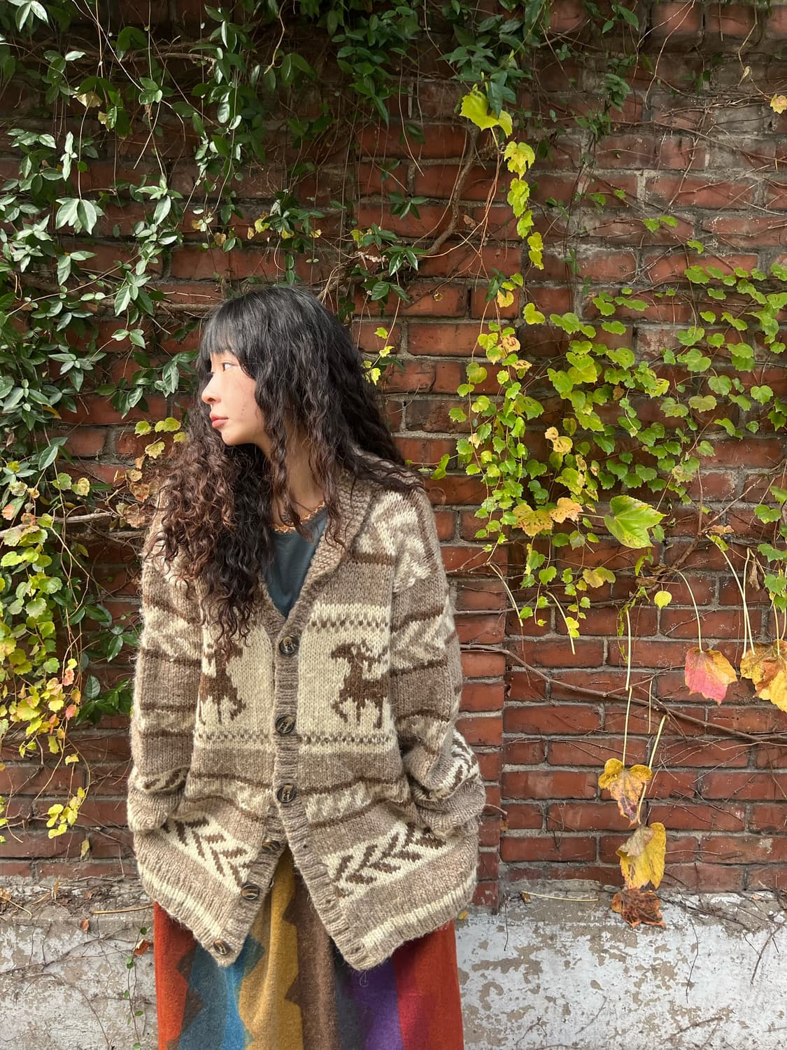 노르딕 패턴 울 니트 가디건 상품이미지2