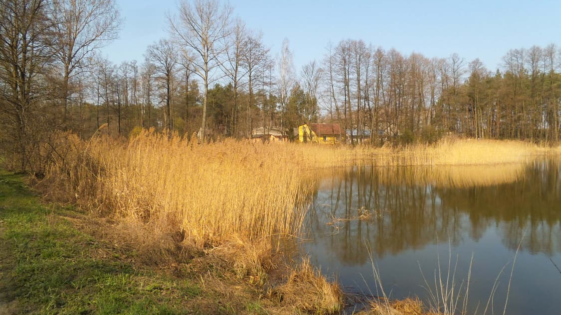 후지필름 파인픽스 JZ100 빈티지 디카 판매합니다 상품이미지9