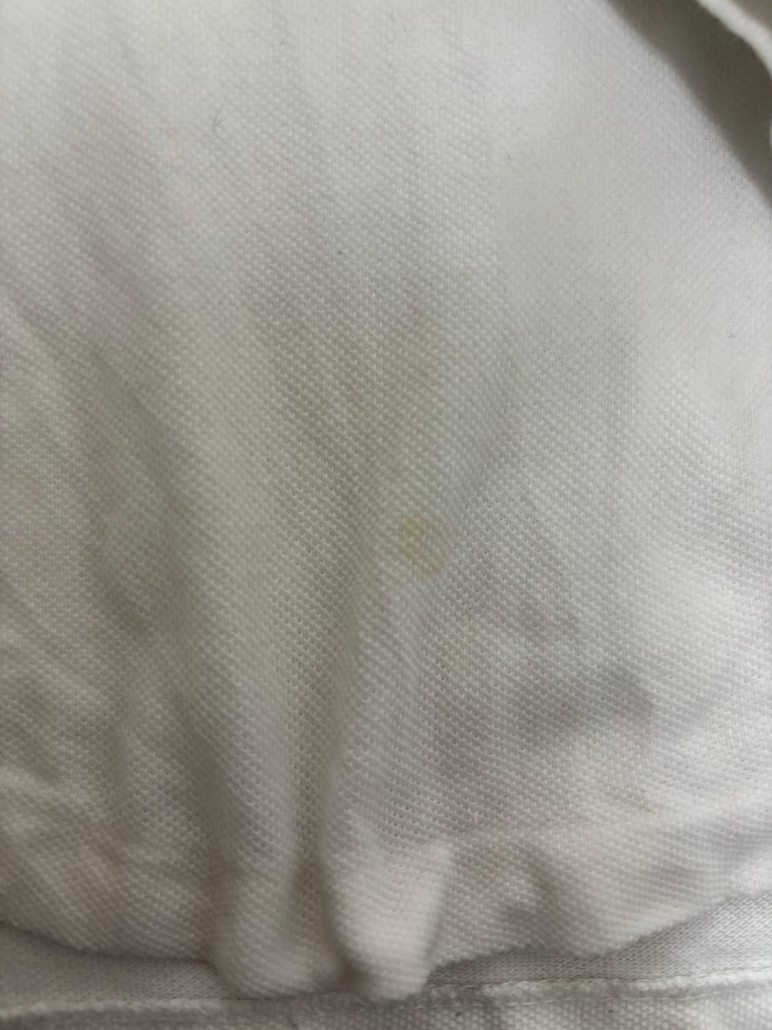 폴로 빅포니 카라티 상품이미지3