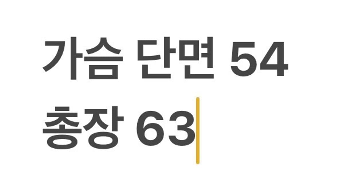 [정품/M] 내셔널지오그래픽 경량 패딩 블랙 b10 상품이미지9