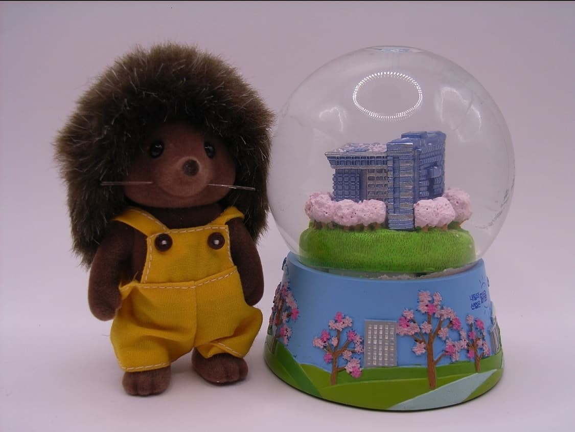 풀박 💫미품📷 Ricoh Caplio R30 🤍 상품이미지7