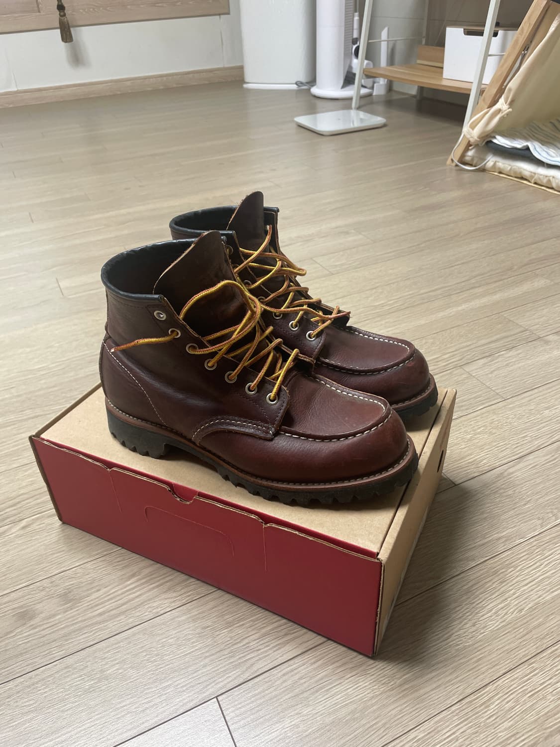 레드윙8146 상품이미지2