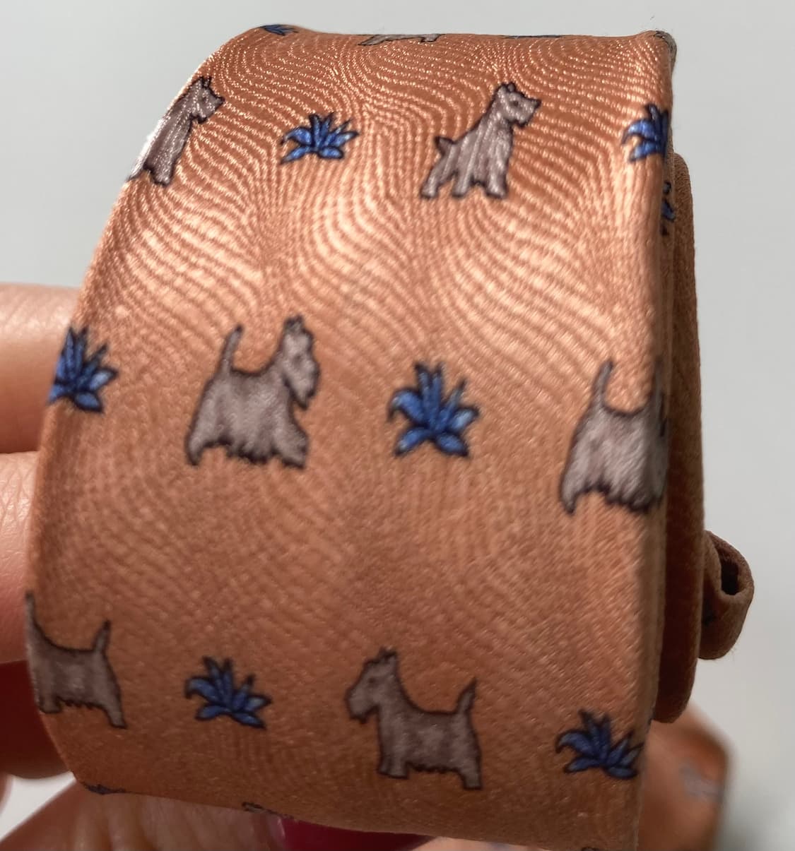 피에르가르뎅 넥타이 상품이미지7