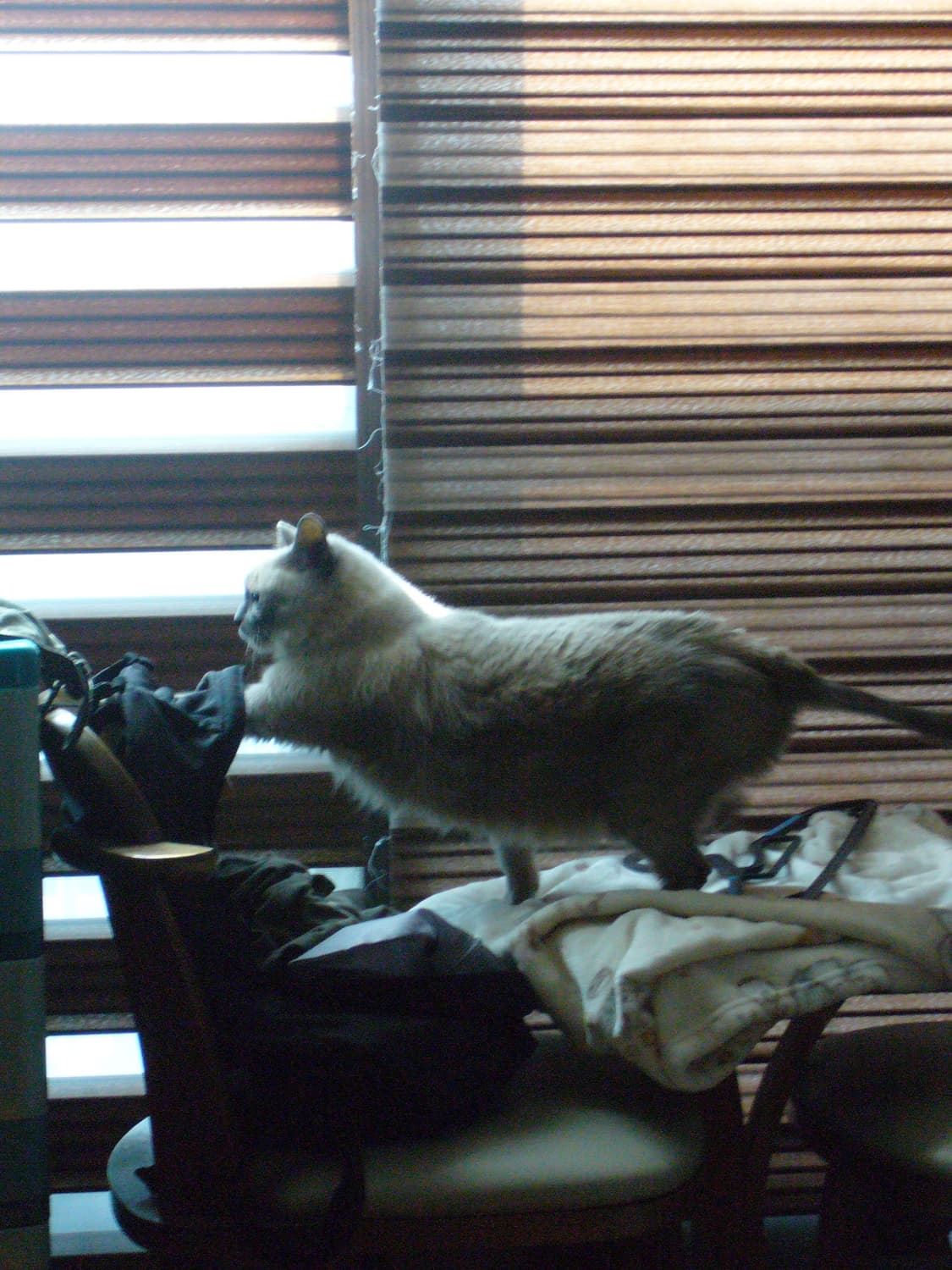 파나소닉 루믹스 DMC-FX9 디지털 카메라 작례O 상품이미지8