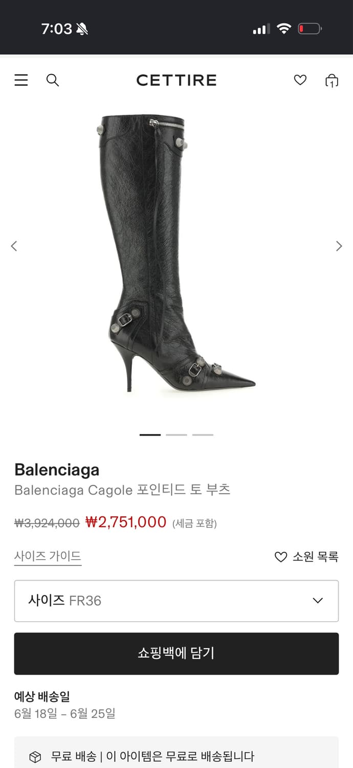 발렌시아가 Cagole 포인티드 토 부츠 새상품 상품이미지4