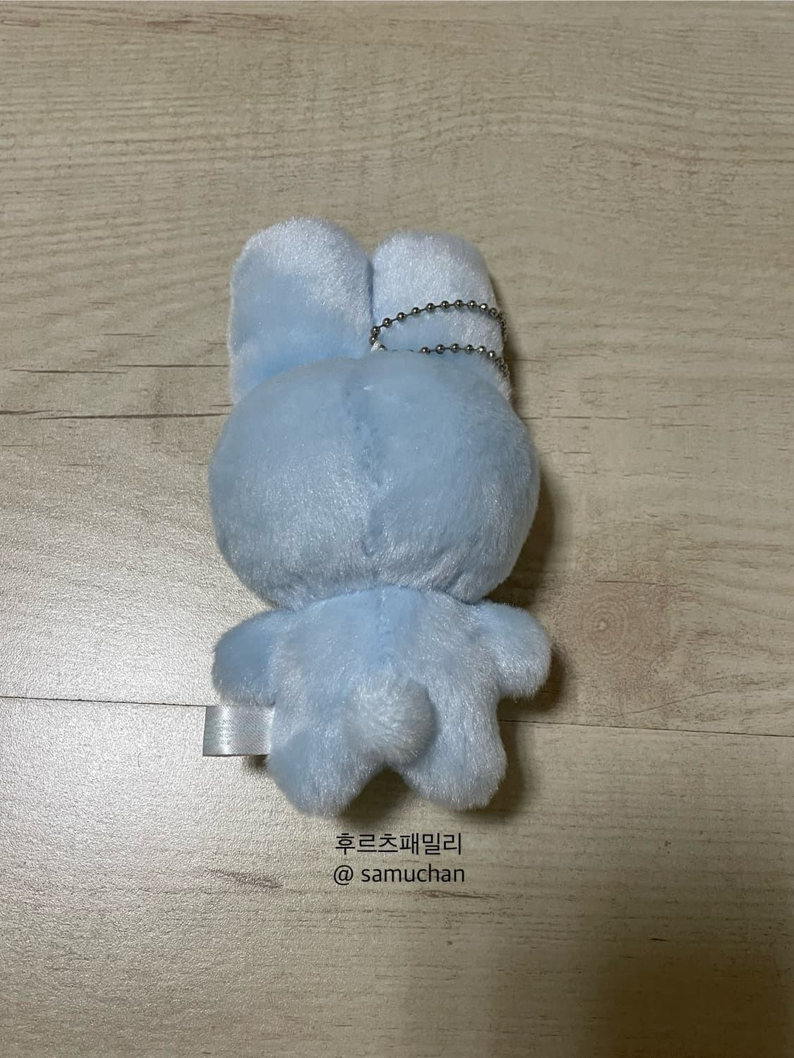 지초이 지토 블루 2024ver 상품이미지3