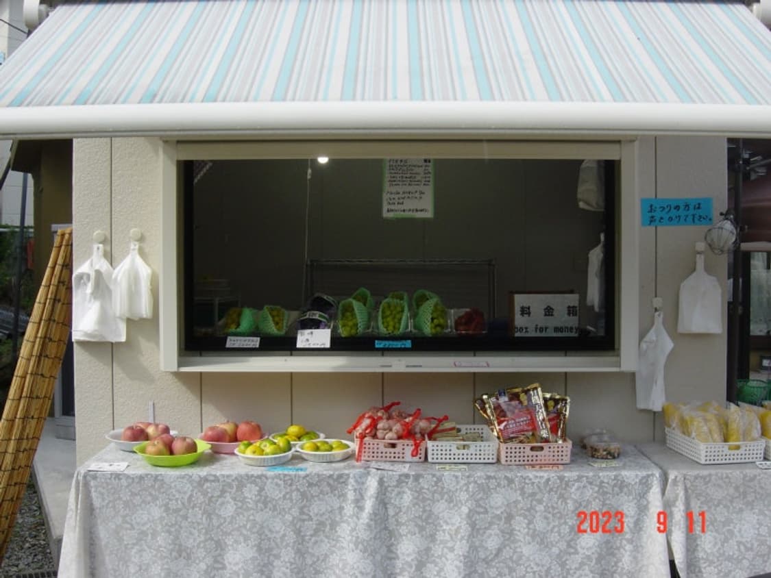 소니 사이버샷 dsc p7 디카 (빈티지 카메라) 상품이미지8