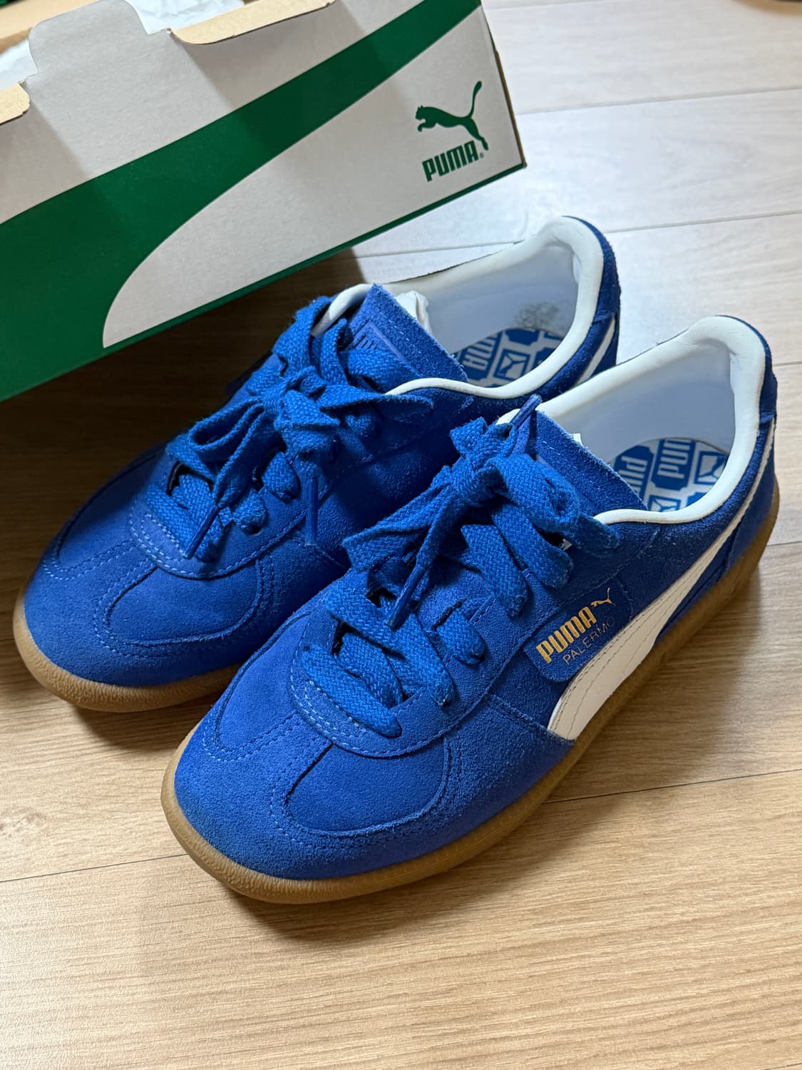 PUMA 푸마 팔레르모 코발트 235 상품이미지5