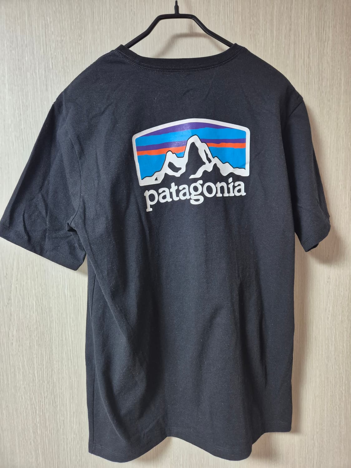 (정품) 파타고니아 티셔츠 반팔 M (22년) 상품이미지2