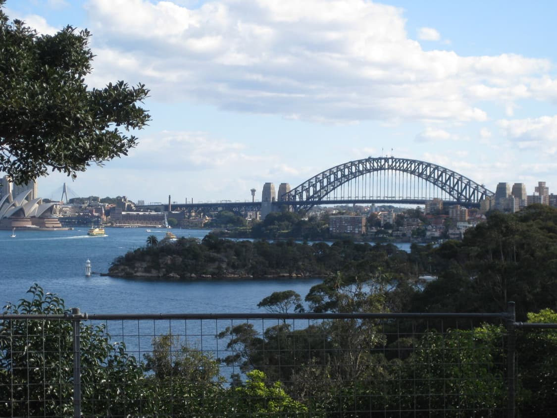 canon ixus 80is/ixy 20is 익서스 80 빈티지디카 상품이미지8