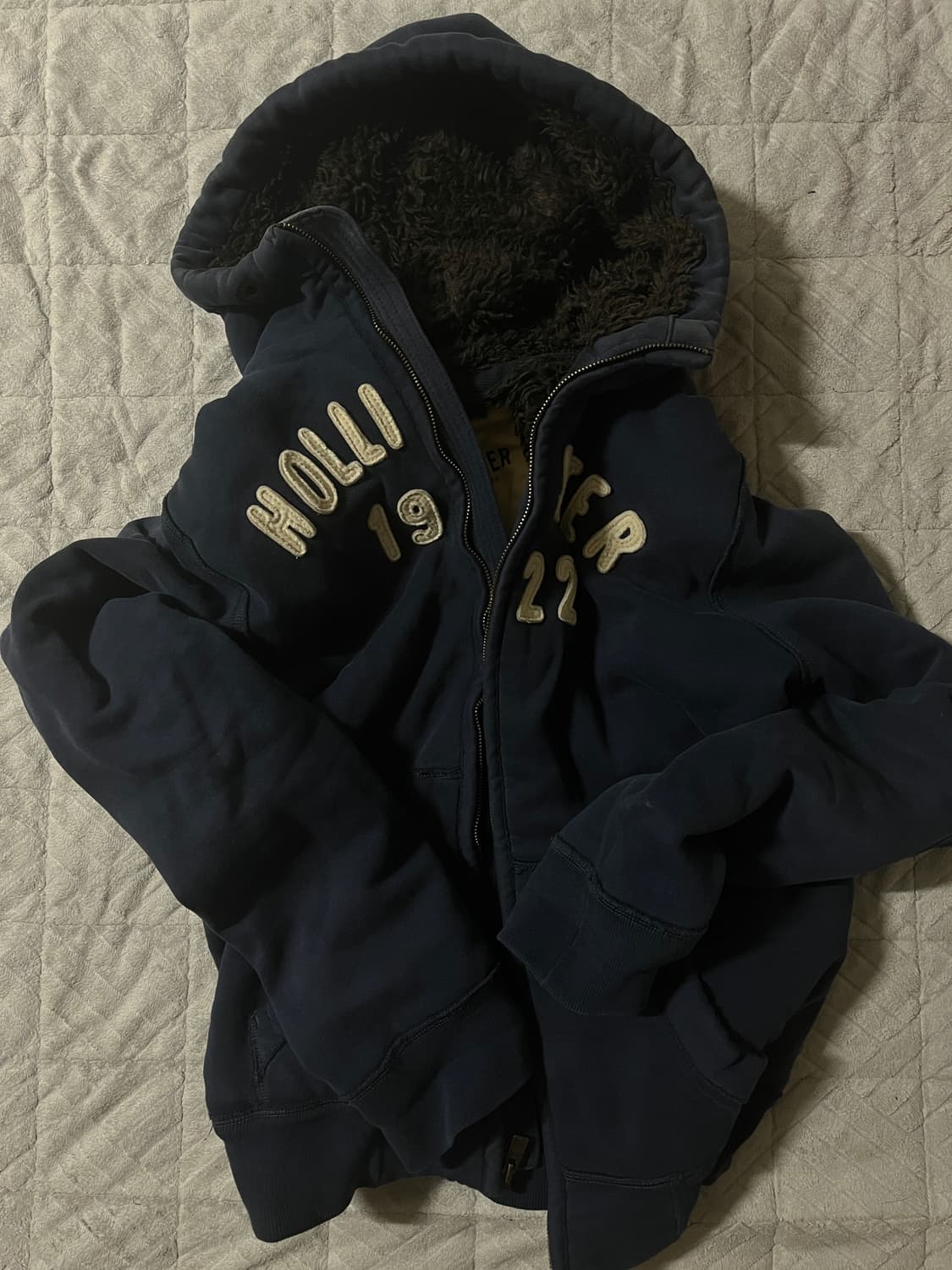 홀리스터 울프죠 상품이미지1