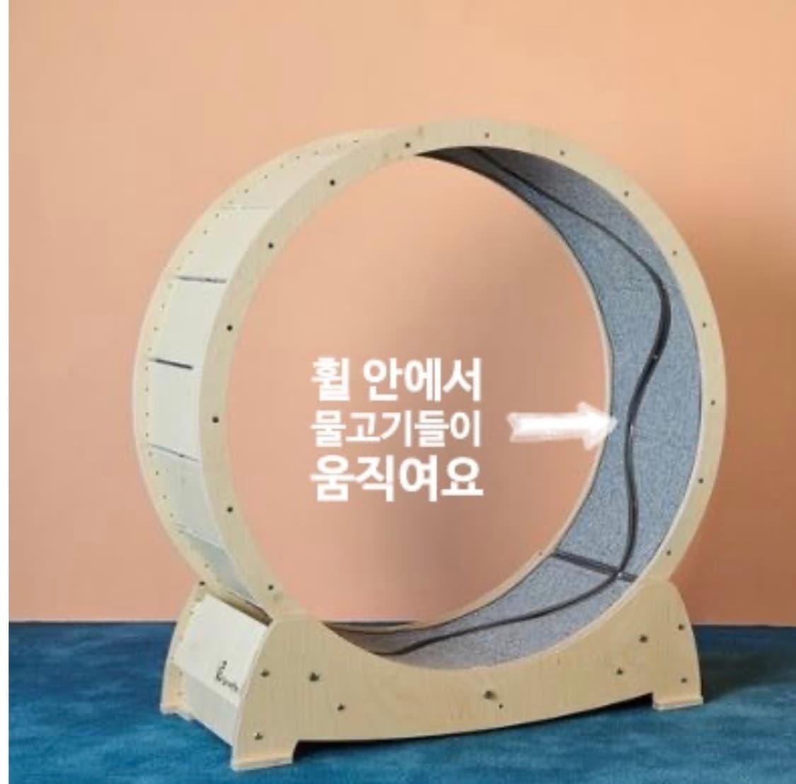 원가 40만 / 집사의반격 고양이 캣휠 (스크래처 카펫 포함) 상품이미지3