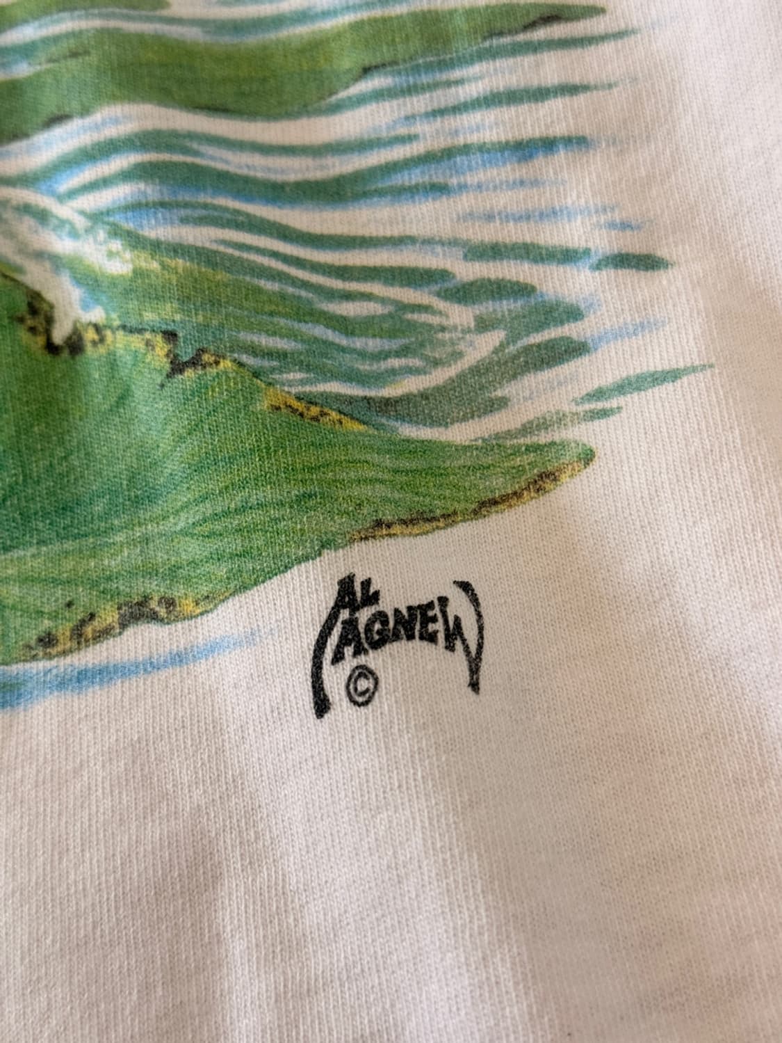 90'S Al Agnew  피싱 낚시 생선 물고기 XL  상품이미지3