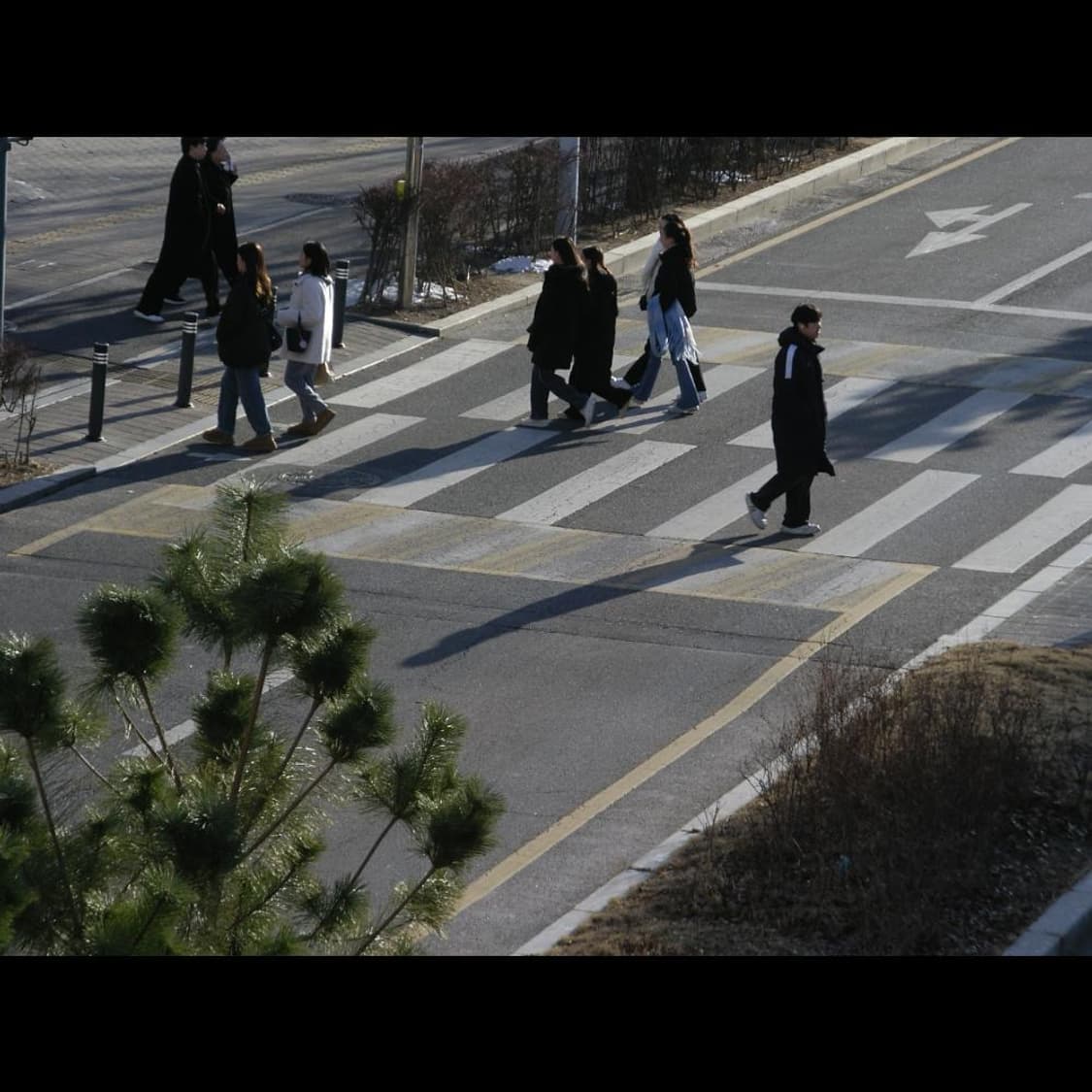 작례⭕️ 펜탁스 옵티오 SVi 메탈릭 실버 상품이미지7