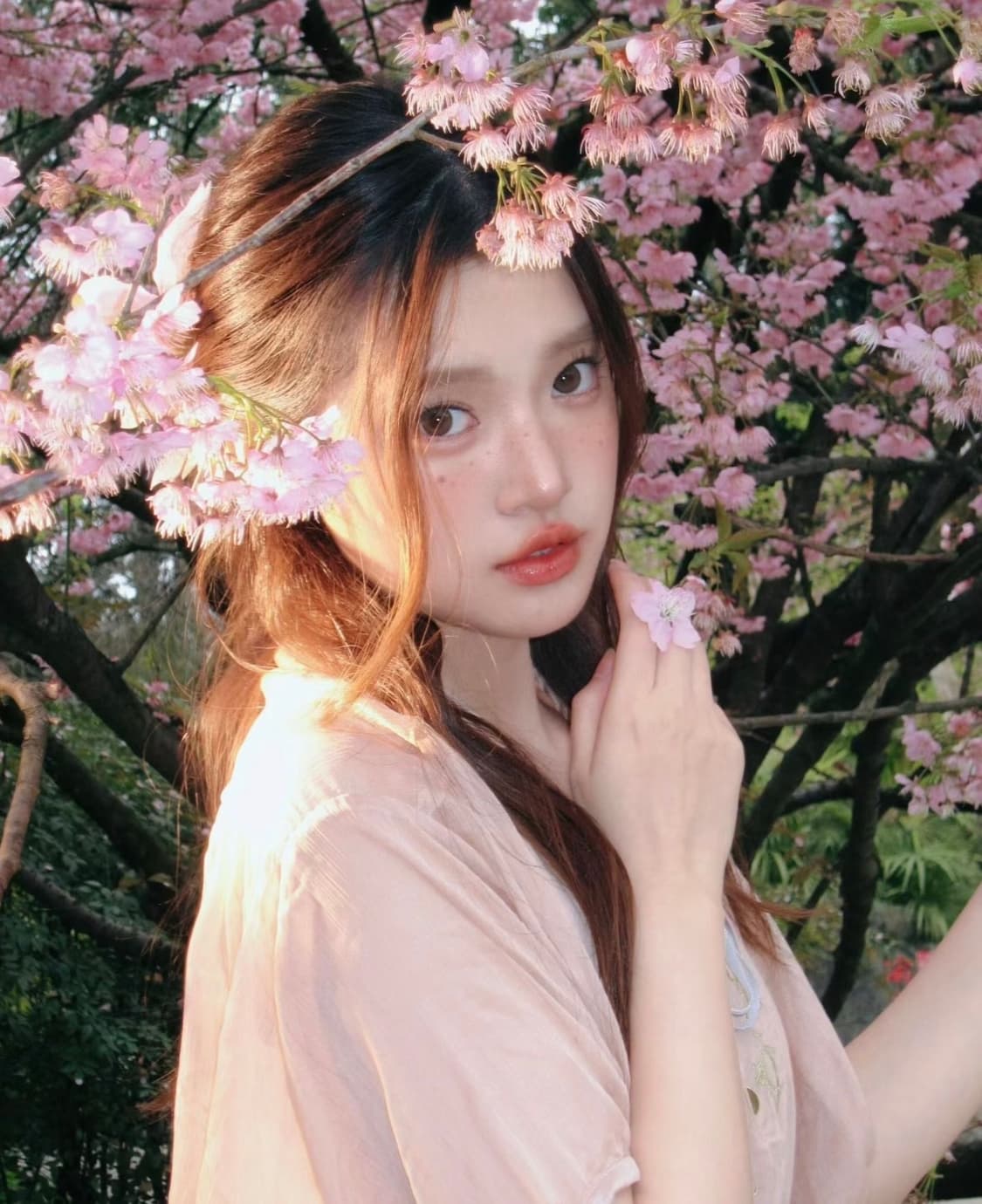 인기!) CANON ixus 110 is 빈티지디카 🌸 상품이미지6