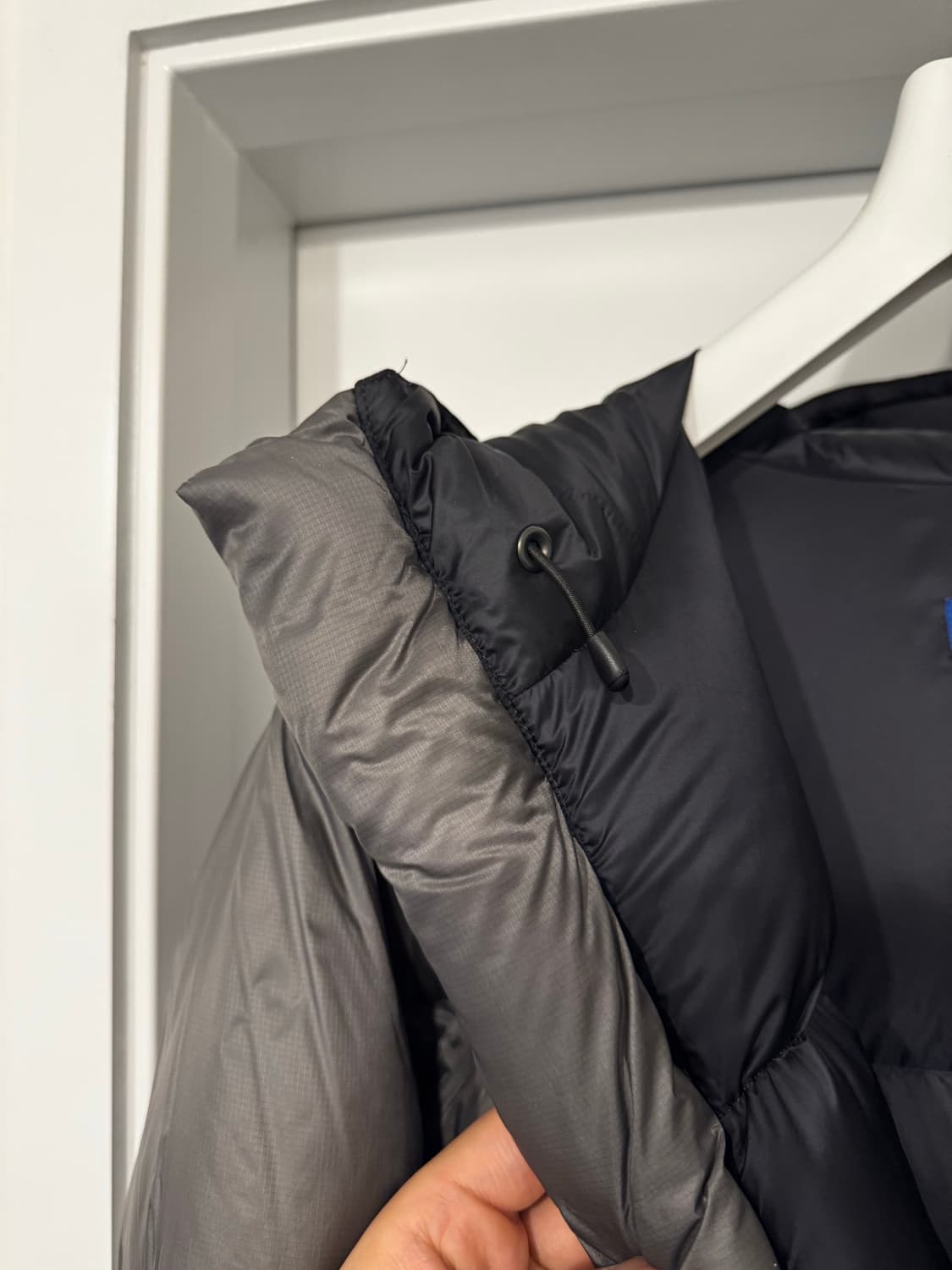 페더드프렌즈 헬리오스 애쉬 L사이즈 상품이미지4