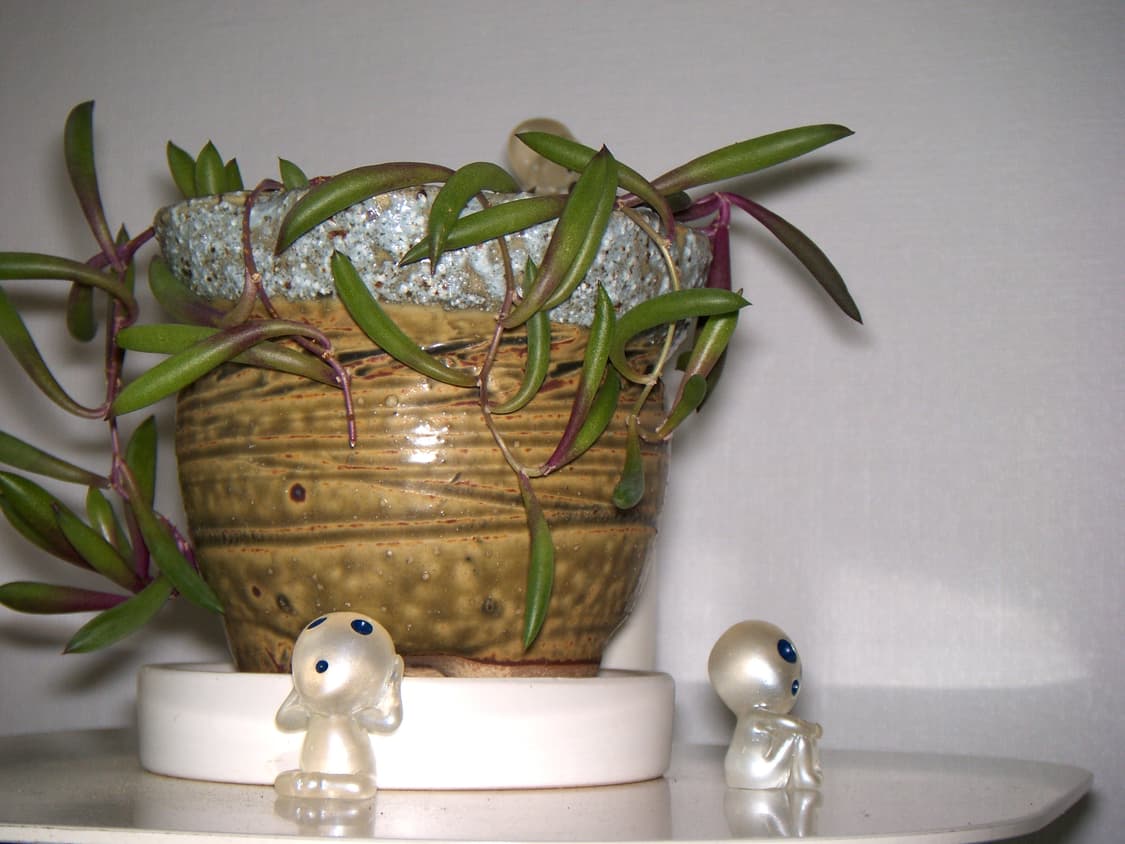 HP 포토스마트 R937 빈티지 디지털카메라 상품이미지9