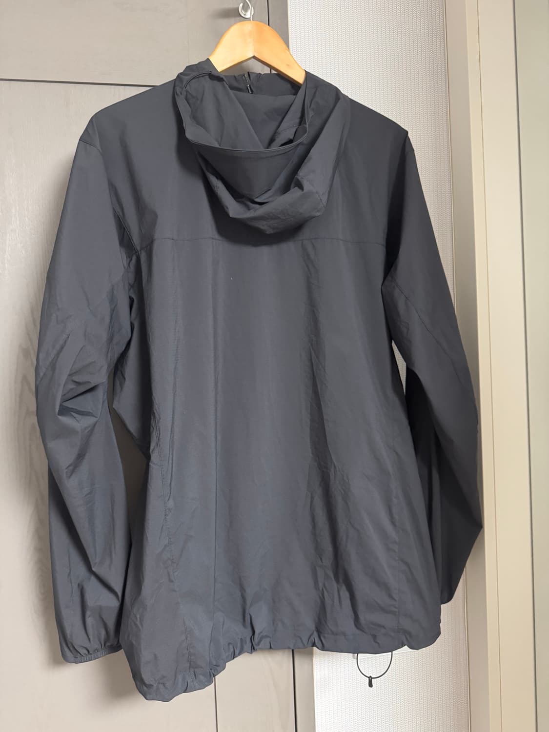 [L]아크테릭스 스쿼미시 후드 상품이미지2