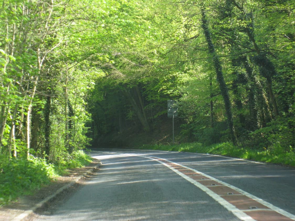 토모토모✧･ﾟcanon ixus 950is / Ixy 810 익서스 디카 상품이미지3