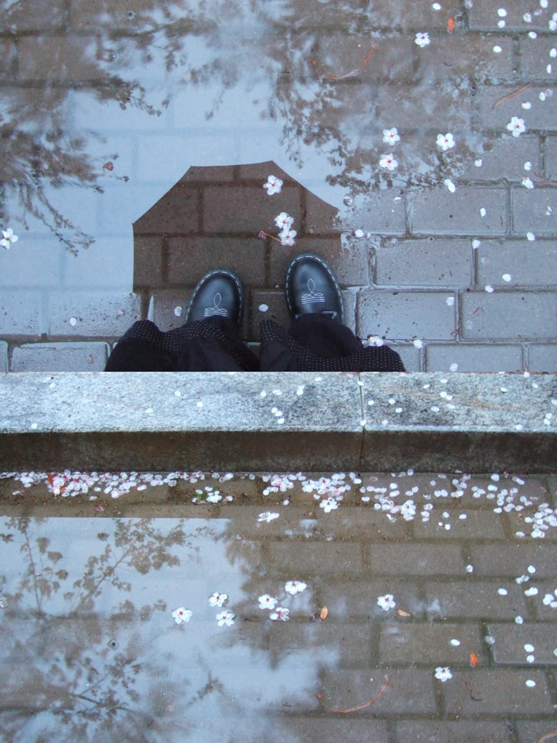 🎐 후지필름 파인픽스 F10 🎐 빈티지 디카 상품이미지5