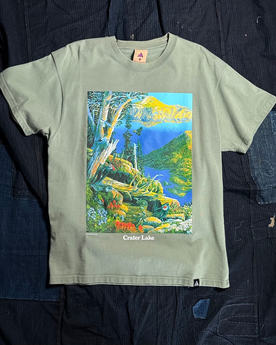 나이키 NRG ACG 숏 슬리브 크레이커 레이크 티셔츠 클래이 그린 XL 상품이미지1