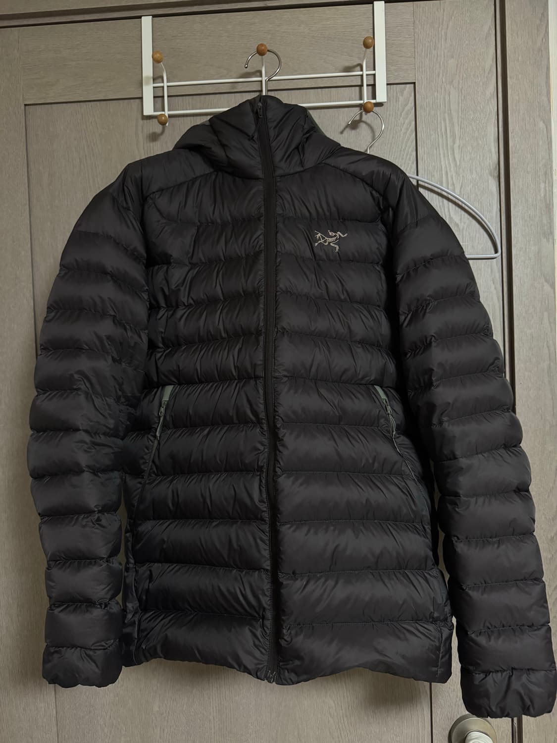 아크테릭스 세륨 비터스 후드 상품이미지3