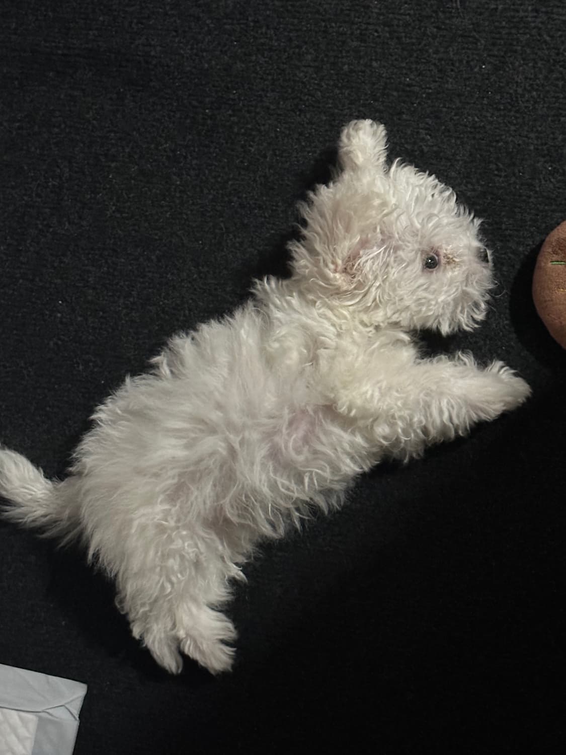 열방이카겨여여열 상품이미지1