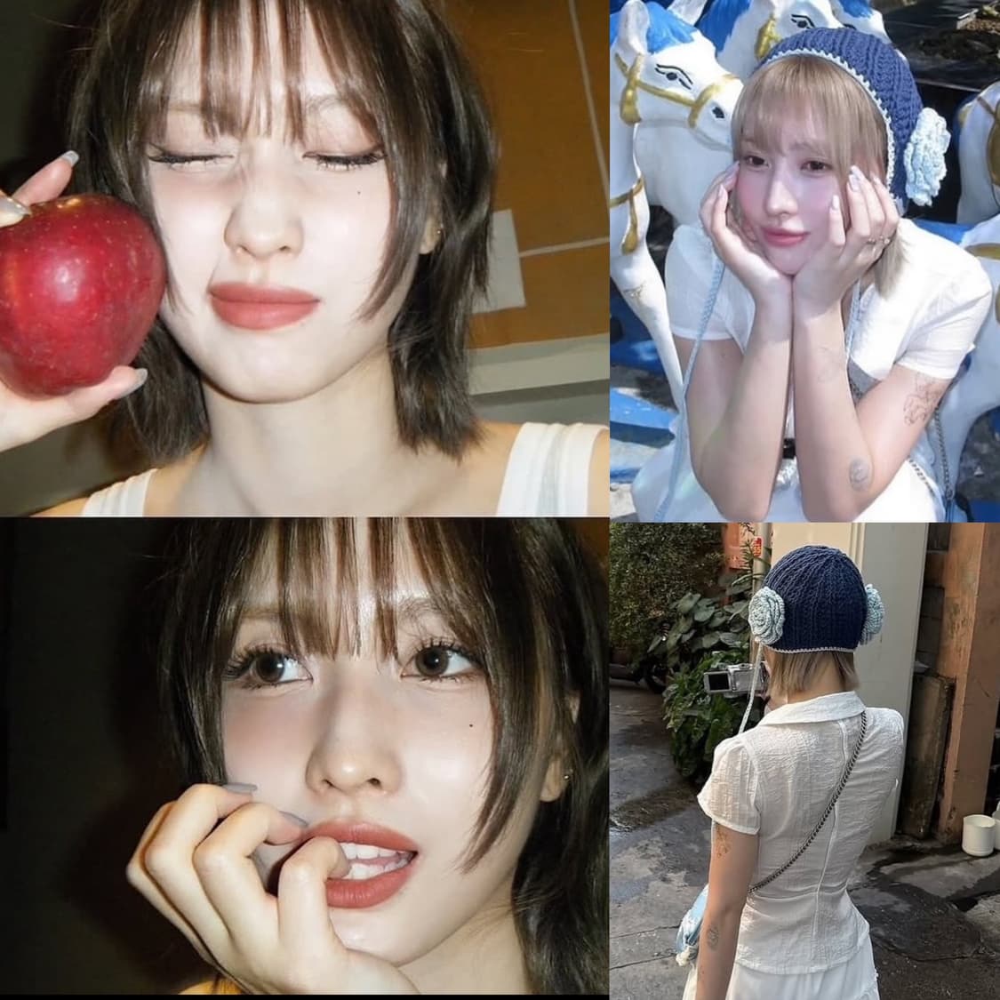 희귀템🪽모모 디카 캐논 파워샷 A650 IS 셀피캠 📹 상품이미지4