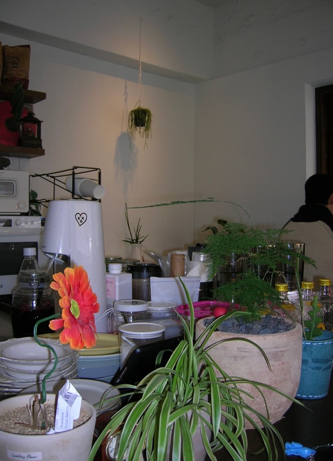 (상태 매우 좋음) 니콘 쿨픽스 4600 빈티지 디카 카메라 상품이미지2