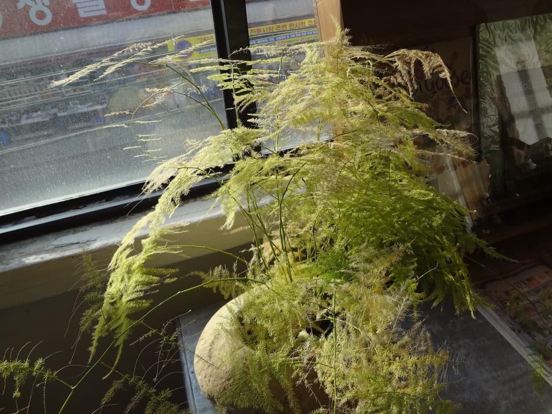 (작례!)Sony Cybershot DSC-WX50디카 상품이미지4