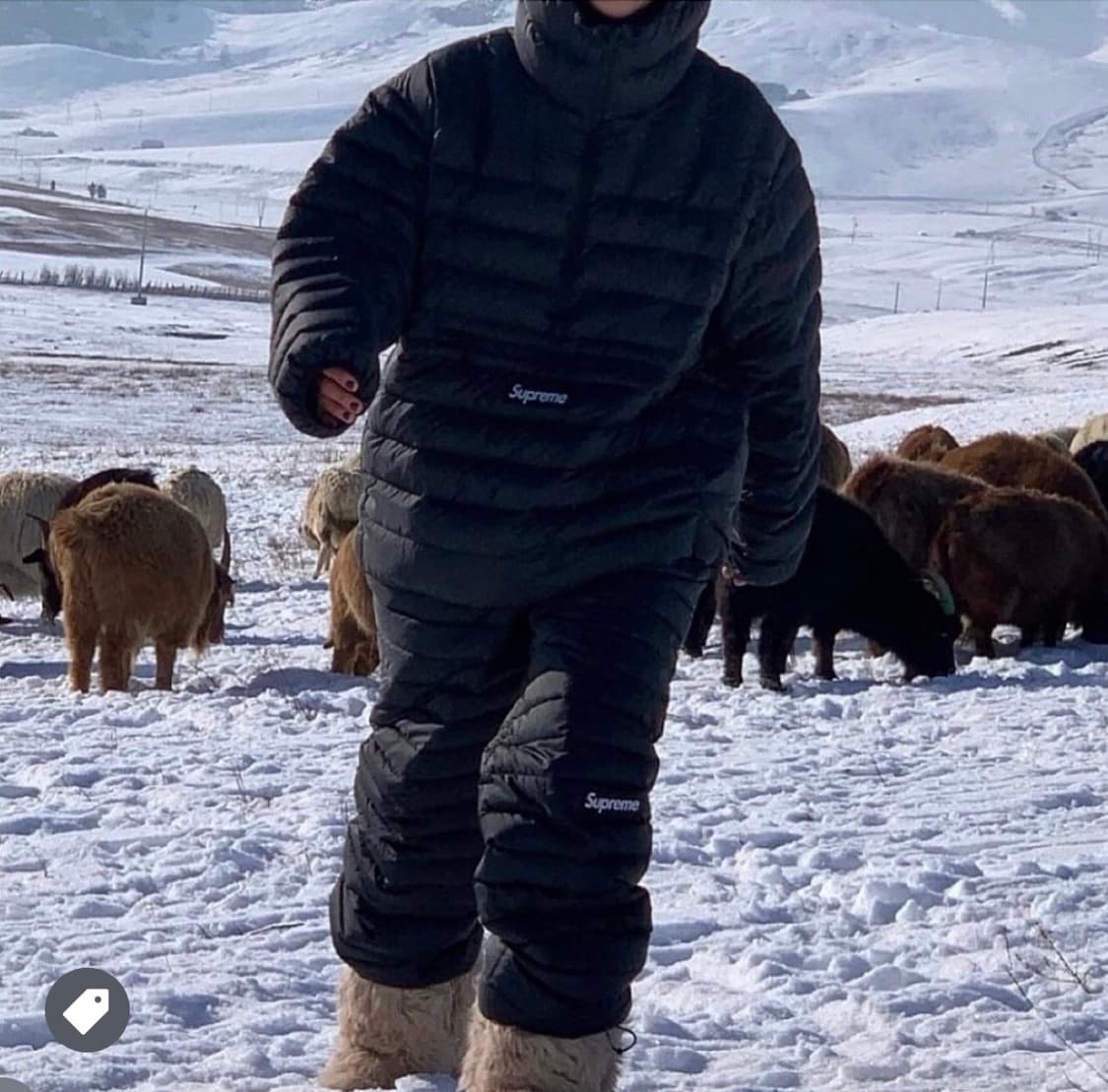 슈프림 마이크로다운 팬츠 M 상품이미지2