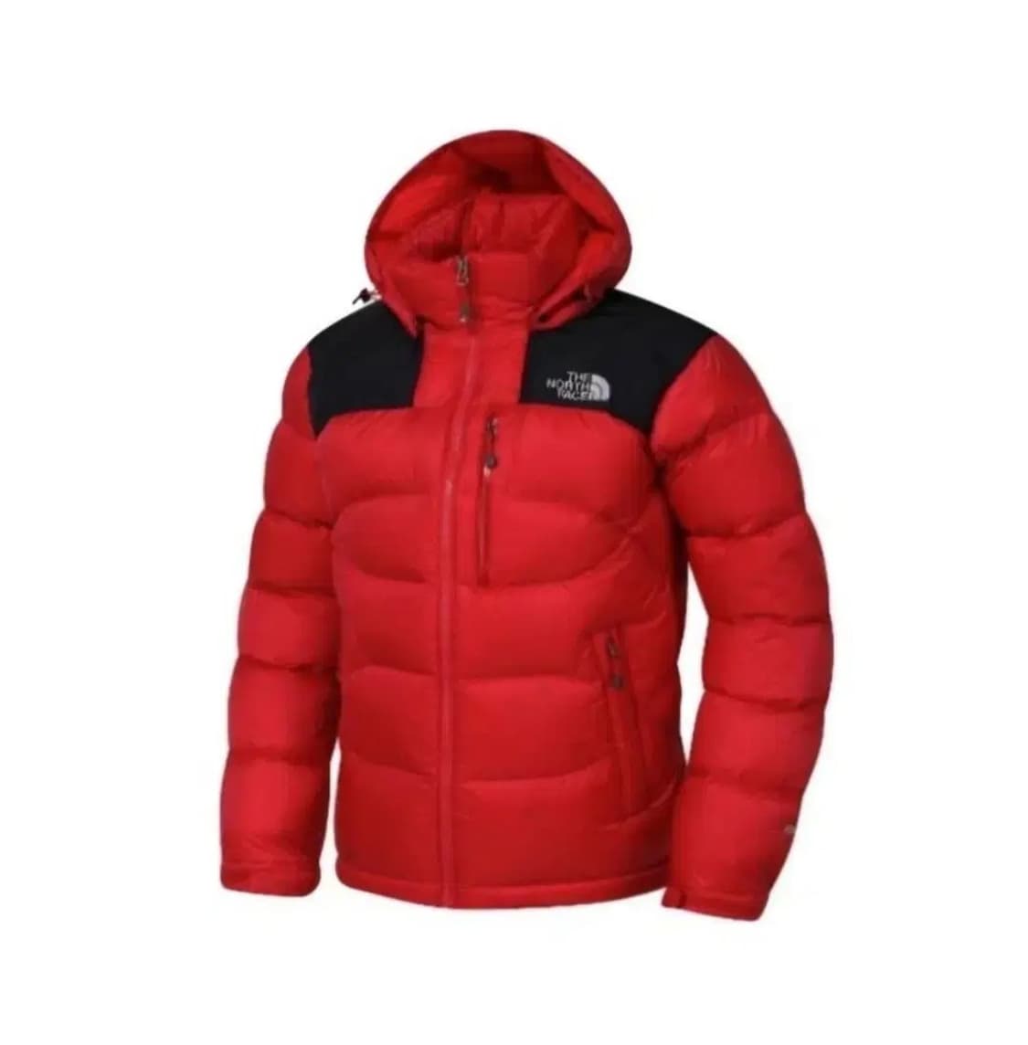 [정품] 노스페이스 써밋 시리즈 800 구스다운 패딩 (90사이즈 / S 상품이미지1