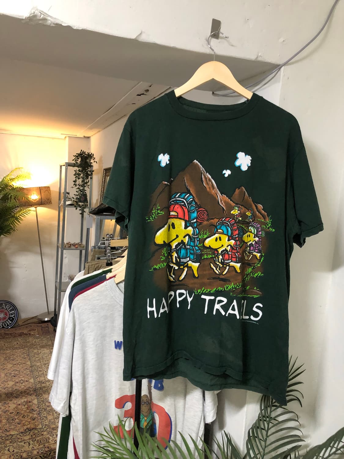 Vintage Peanuts green T-shirts 상품이미지1