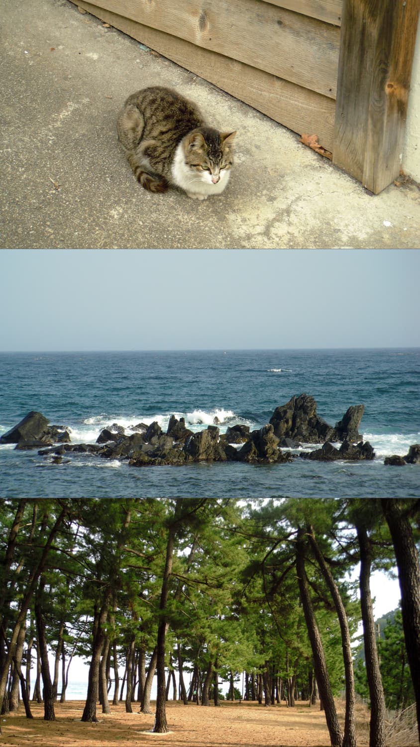 후지필름 파인픽스 z300 (작례O) 상품이미지5