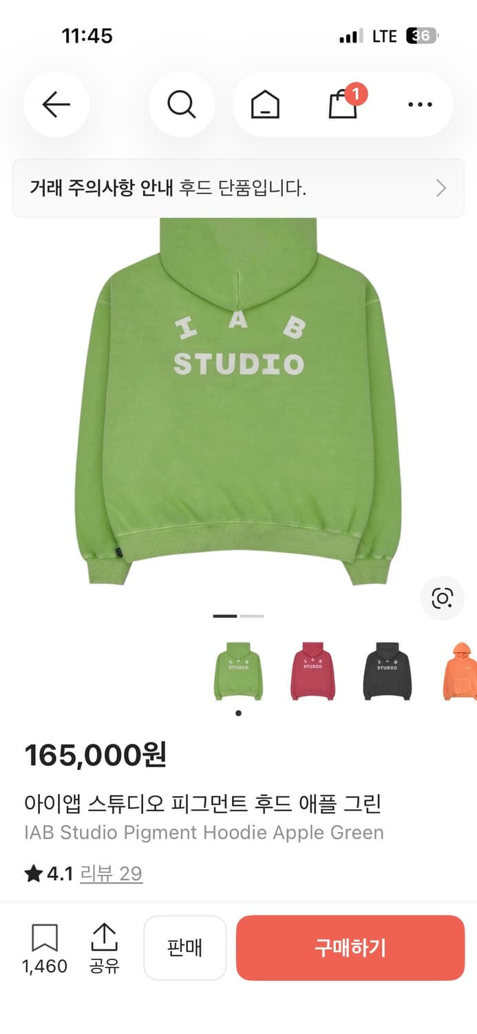 아이앱 스튜디오 피그먼트 애플 그린 L 상품이미지1