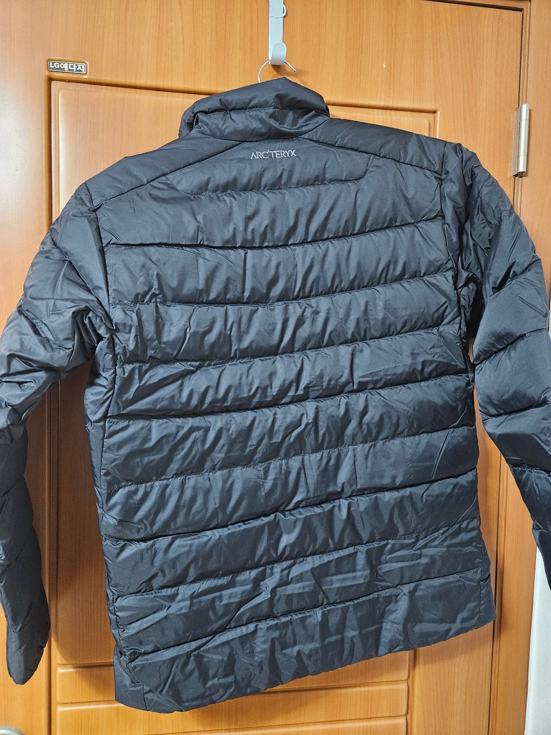 아크테릭스 토륨 L 새상품 상품이미지5