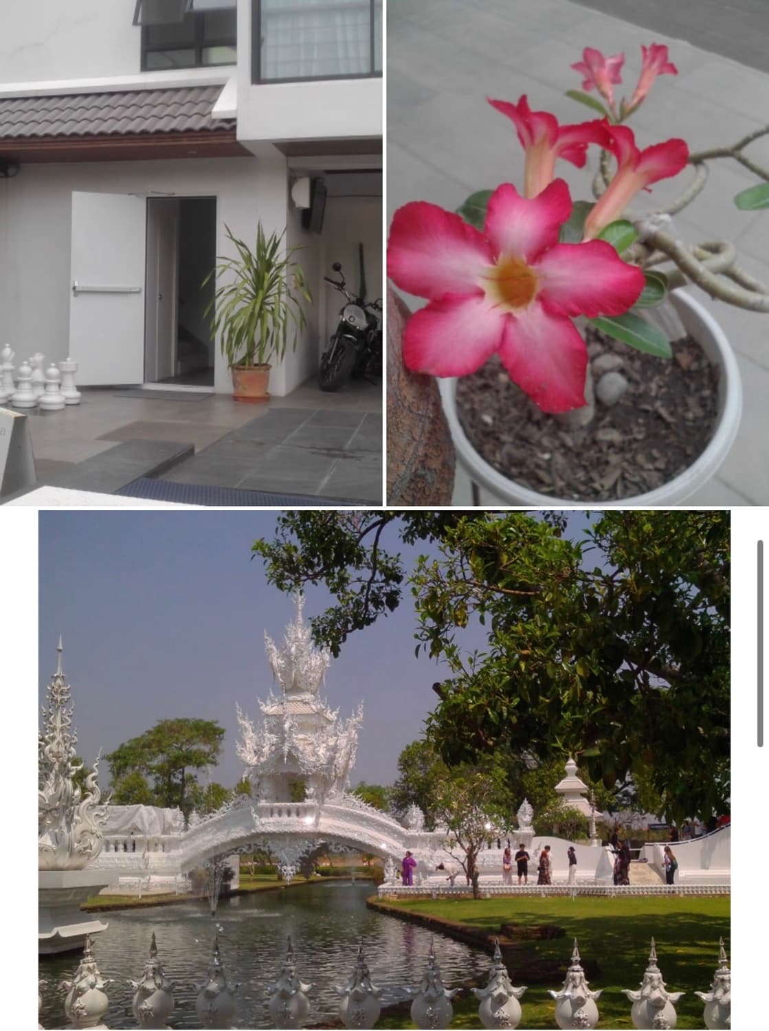 콜맨익스트림카메라 상품이미지3