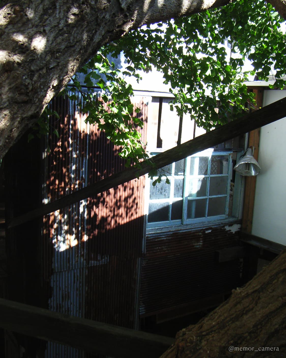 노란기없는/블러리뽀용작례✨RICOH Caplio R2 리코 디카 상품이미지10