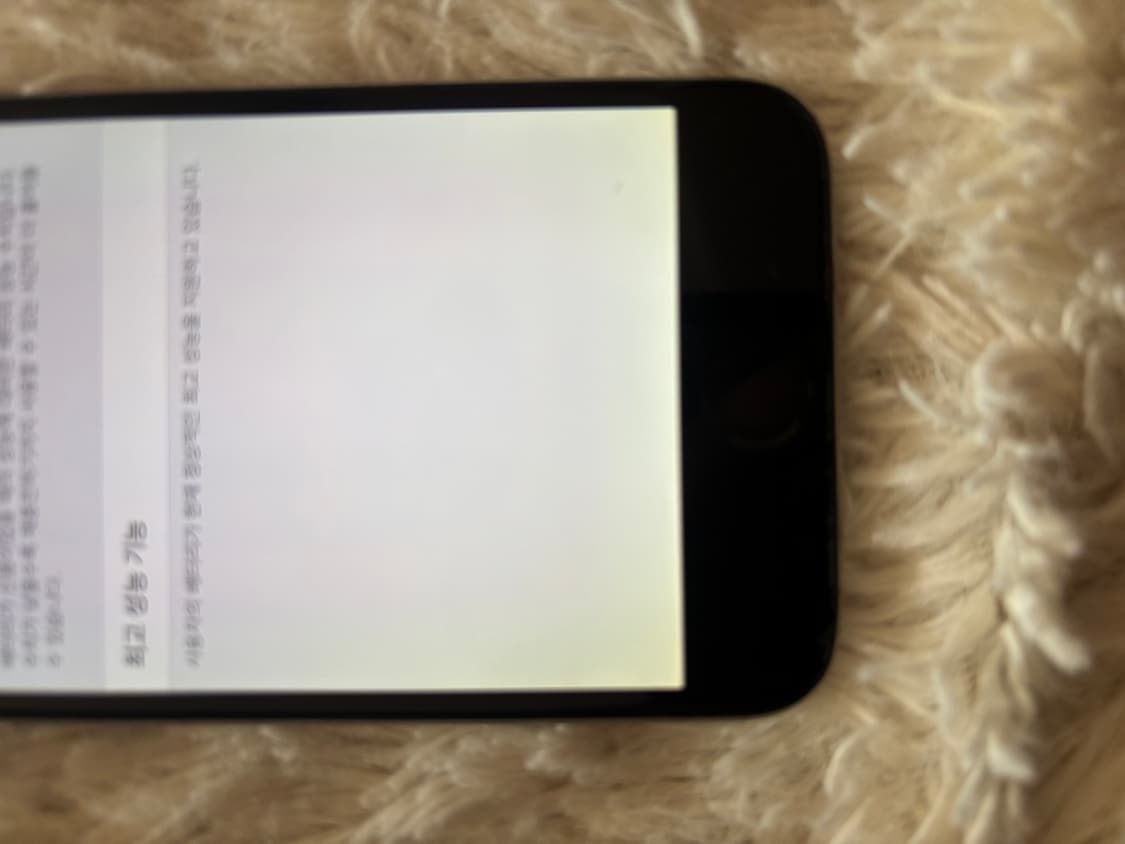 아이폰6 실버 성능 100 상품이미지4