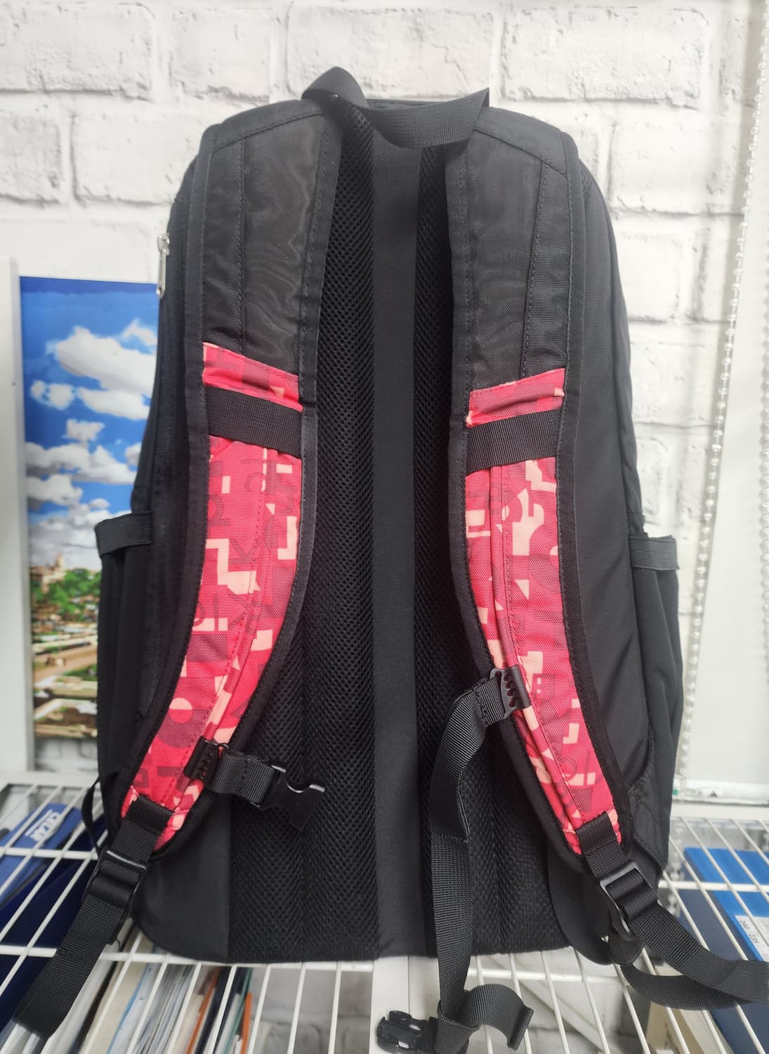 노스페이스 2018 평창동계올림픽 백팩 에디션 BD27 상품이미지4