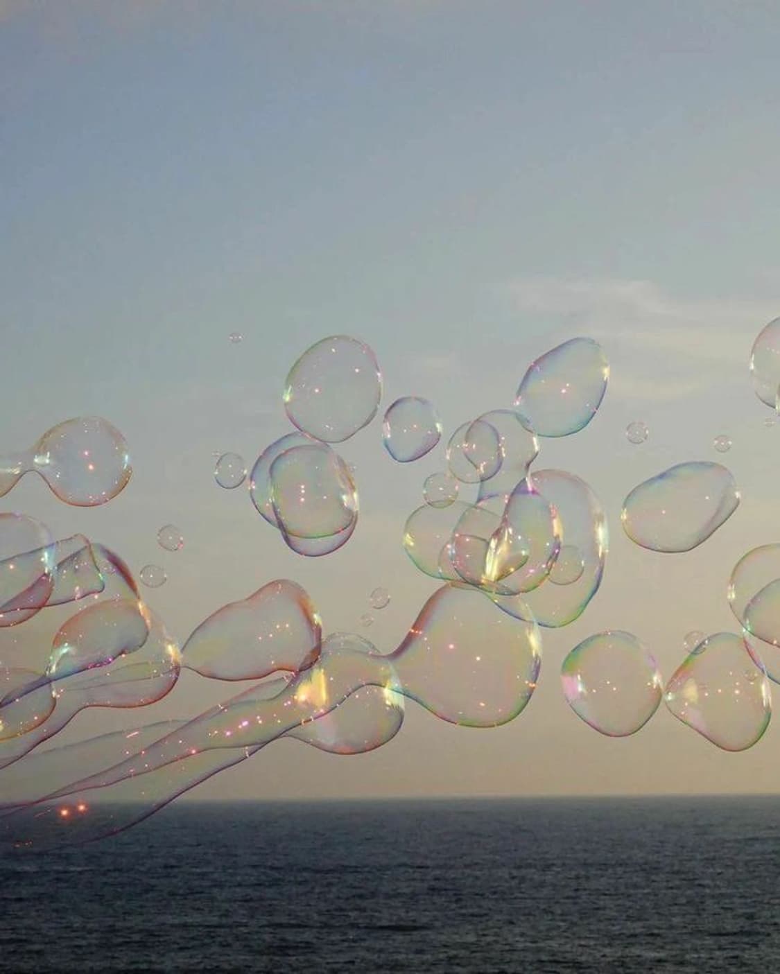 wosowsx님 결제창 상품이미지1