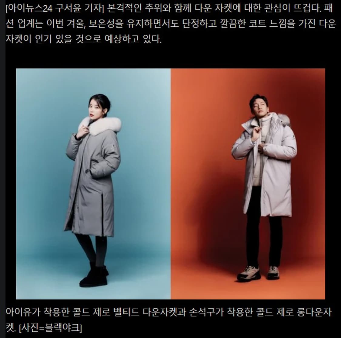 블랙야크 콜드 제로 레이디 구스  다운 롱패딩 상품이미지9