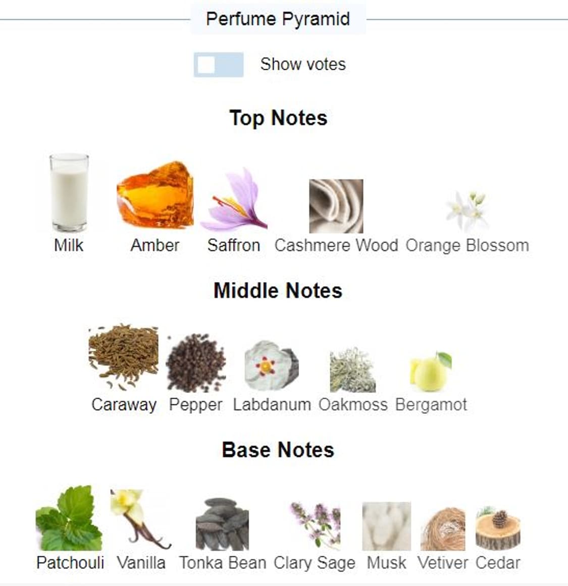 코스튬 내셔널 21 EDP 100ml 오드퍼퓸 향수 CoSTUME NAT 상품이미지3