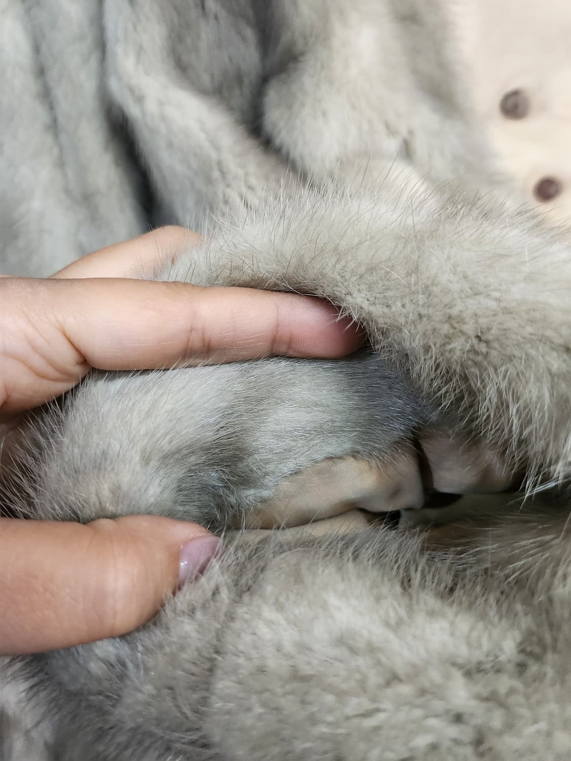 227) 로얄 사가 밍크 코트 상품이미지5