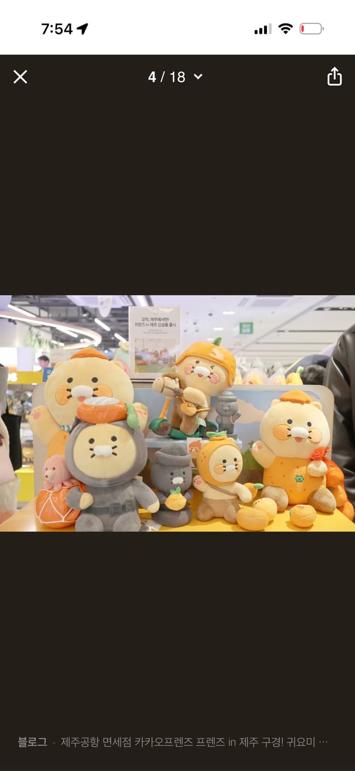 카카오프렌즈 정품 제주도 한정판 춘식이 킥보드 인형 상품이미지2