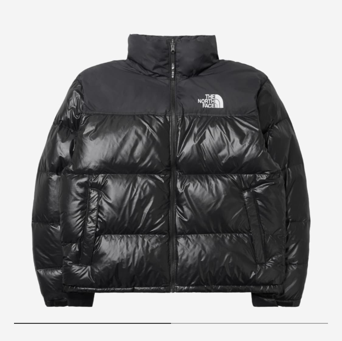 노스페이스 1996 에코 눕시 자켓 리얼 블랙 상품이미지1