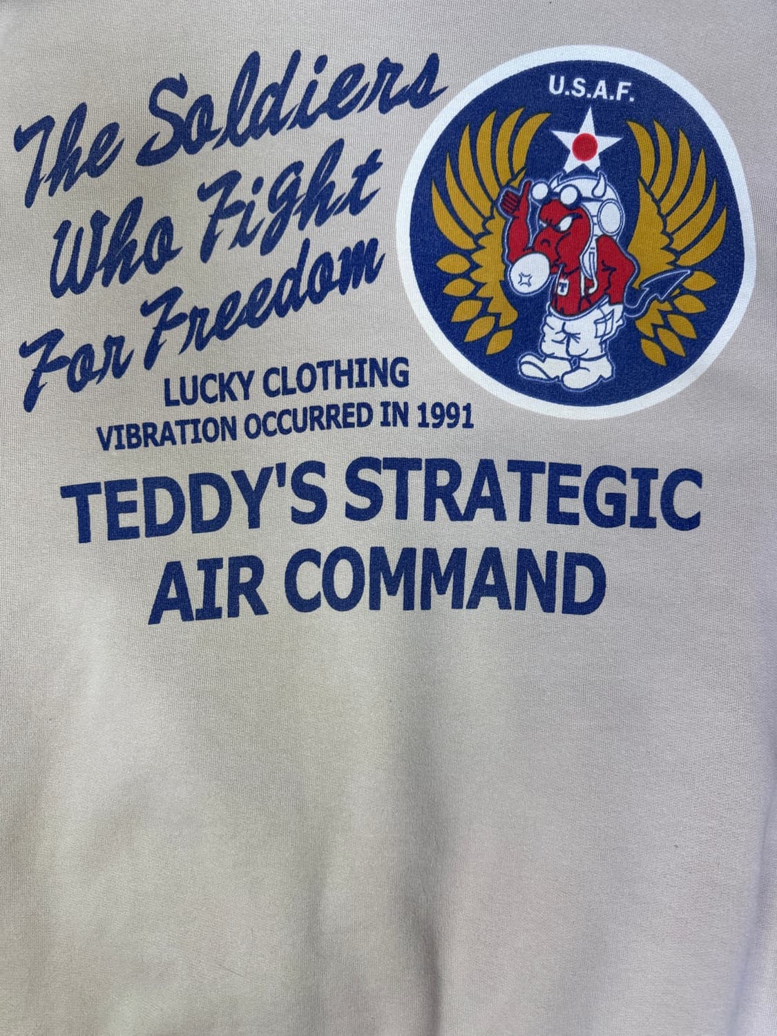 빈티지 테드컴퍼니 레드데빌 에어포스 후드집업 40 상품이미지9