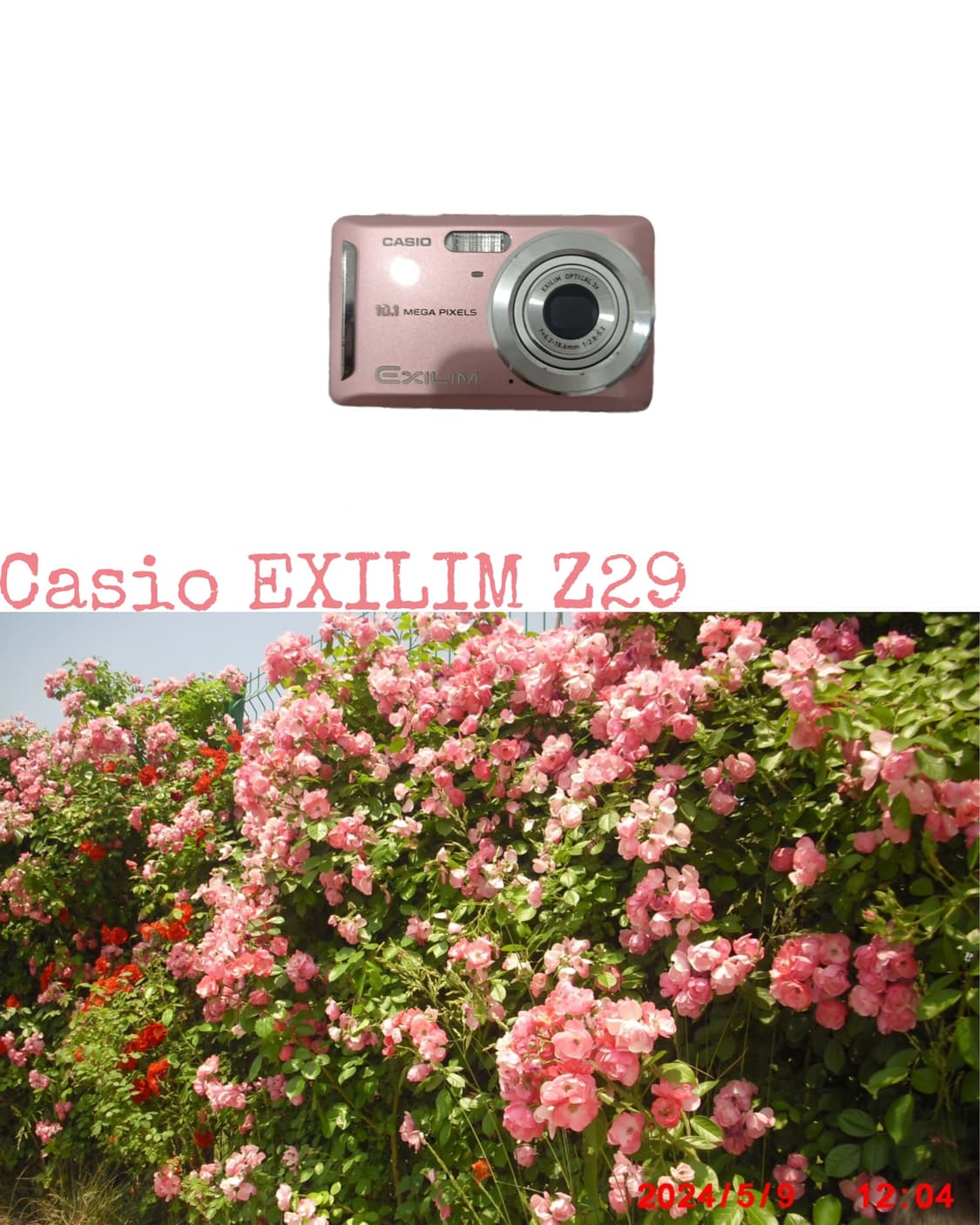 Casio Z29 상품이미지1
