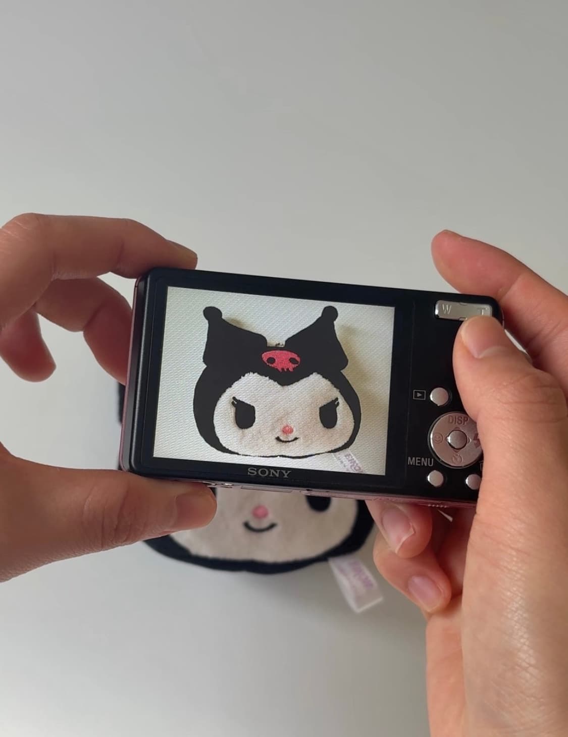 소니 사이버샷/Sony Cybershot DSC W-350 상품이미지7